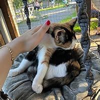 Sex Substanser Som F R Ndrar Ditt Liv By David Jp Phillips Goodreads