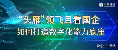 “头雁”领飞且看国企如何打造数字化能力底座