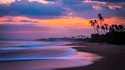 Beautiful Ocean Waves Palm Trees On Beach Sand Under Black White Clouds ...