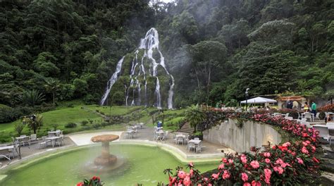 top     pereira august  expedia