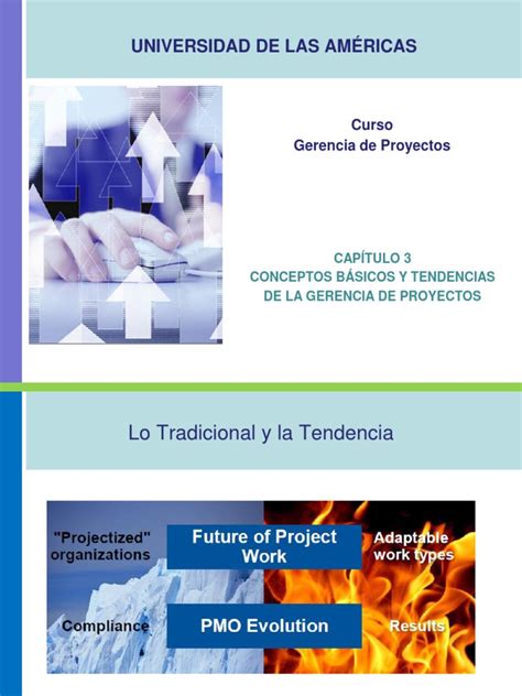 PDF Conceptos Basicos De La Gerencia De Proyectos DOKUMEN TIPS