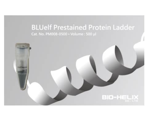 BLUelf Prestained Protein Ladder Al Genome International