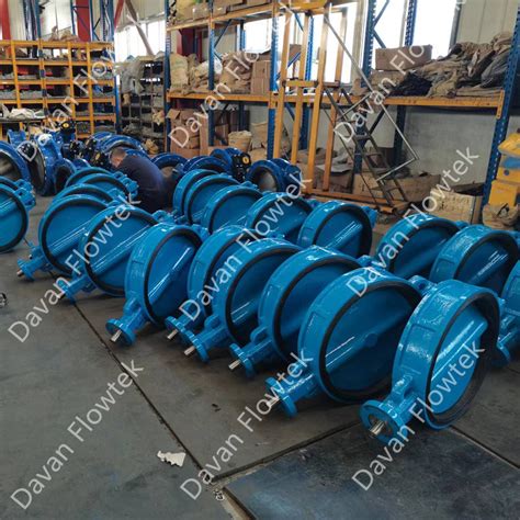 Handle Din Standard Cast Ductile Iron Ggg Wafer Type Lug Flanged