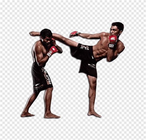 Artes Marciales Mixtas Combate Deporte Pradal Serey Strike Sanshou