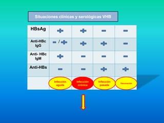 Marcadores serológicos de las hepatitis PPT