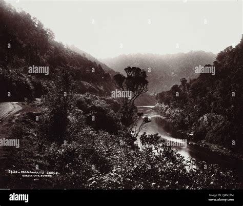 Manawatu Gorge Circa 1890 Manawat By Burton Brothers Stock Photo Alamy