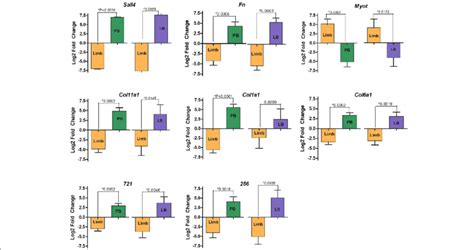 RT QPCR Validation Of Differentially Expressed Genes In Bolitoglossa