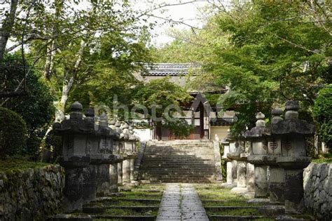 滋賀大津 園城寺（三井寺）唐院探題灯篭 No 3946118｜写真素材なら「写真ac」無料（フリー）ダウンロードok