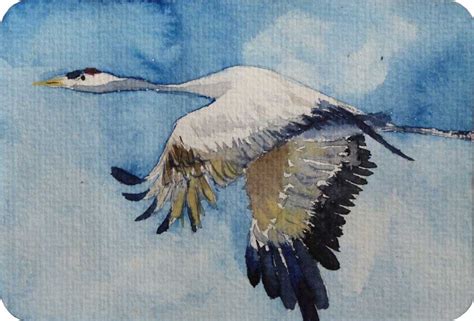 Kranich Im Flug C Miniatur In Aquarell Von Frank Koebsch On