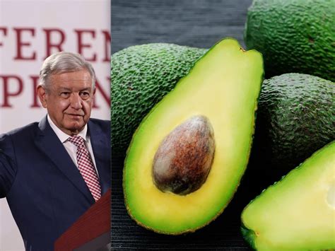 México produce el mejor aguacate del mundo López Obrador Dinero en