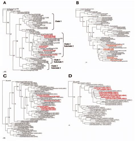 Phylogenetic Relationships Of The Hemagglutinin Ha A Neuraminidase