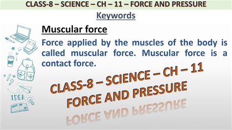 Definition Of Muscular Force For Class 8 Science YouTube