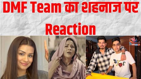 शहनज पर DMF क Team न ऐस दय Reaction Team DMF Reaction on