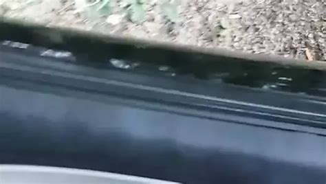 Lange Kein Vid Mehr Gemacht Gay Porn XHamster