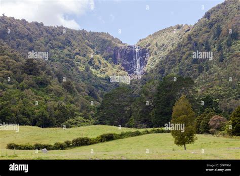 Wairere Falls waterfall and surrounding forest in Wairere Falls Scenic ...