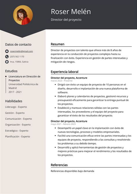 Ejemplos De Curriculum Vitae Director Del Proyecto Plantilla Y