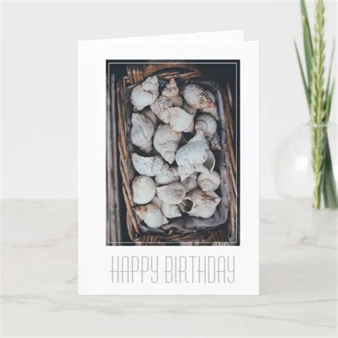 HAPPY BIRTHDAY SEASHELLS CARD Zazzle