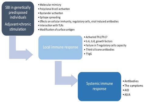 Frontiers Autoimmuneinflammatory Syndrome Induced By Adjuvants In A