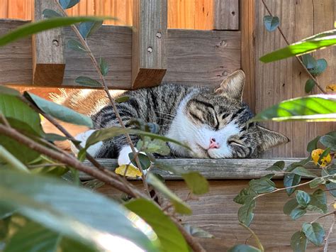 Historical News Archive: The Miami News Page 24 Headlines 22