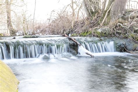 Wildbach Natur Bach Kostenloses Foto Auf Pixabay Pixabay