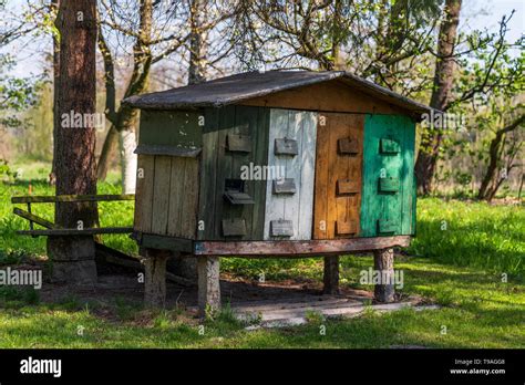 Old Beehive In The Garden Stock Photo Alamy