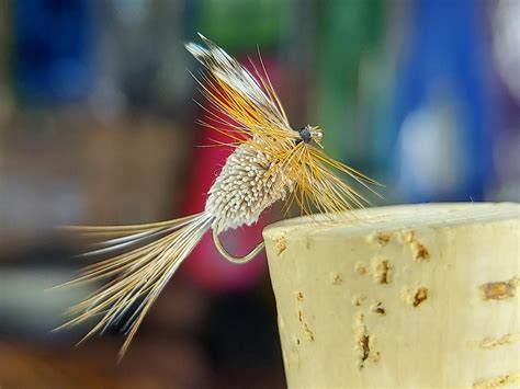 Turtle 🐢's : r/turtle