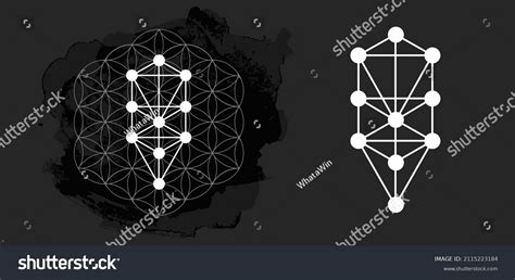 Kabbalah Vector Symbol Isolated Sacred Geometry Stock Vector Royalty