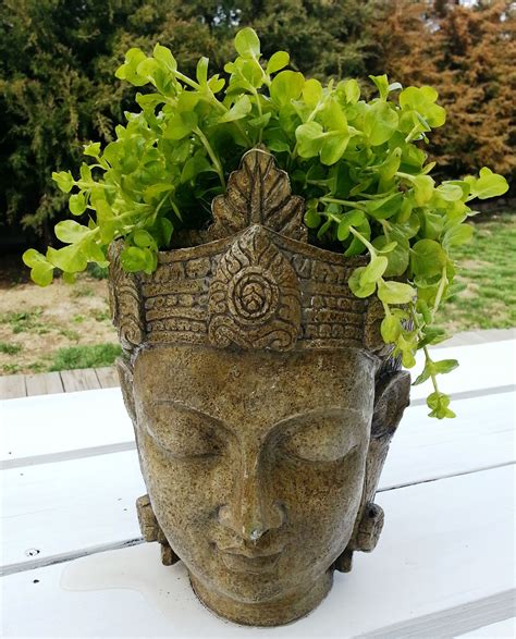 Head Planters And Face Pots Whimsical Containers CAPTIVATIST