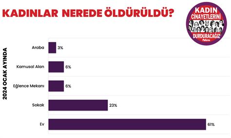 Kadın Cinayetlerini Durduracağız Platformu Ocak 2024 Raporu