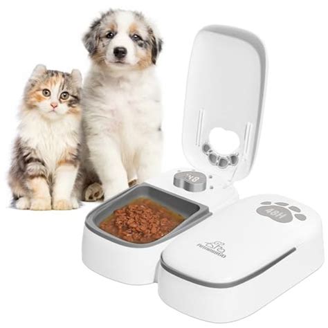 Automatic Wet Cat Food Feeder The Best Products Compared Wild