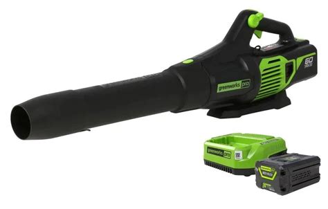 How Do Gas Leaf Blowers Compare To Electric Ones In Terms Of Power Leaf Blowers Review