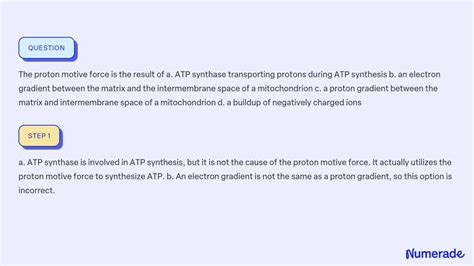 SOLVED:The proton motive force is the result of a. ATP synthase ...