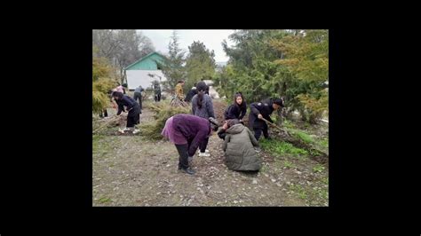 ТАЗАЛЫК ДЕН СООЛУК БУЛАГЫ - YouTube