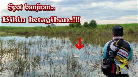 Mancing Ikan Gabus Di Spot Banjiran Bikin Ketagihan Youtube