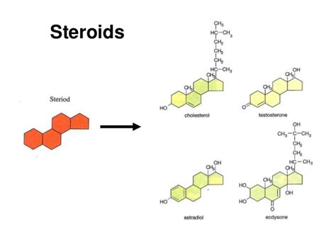 Lipids