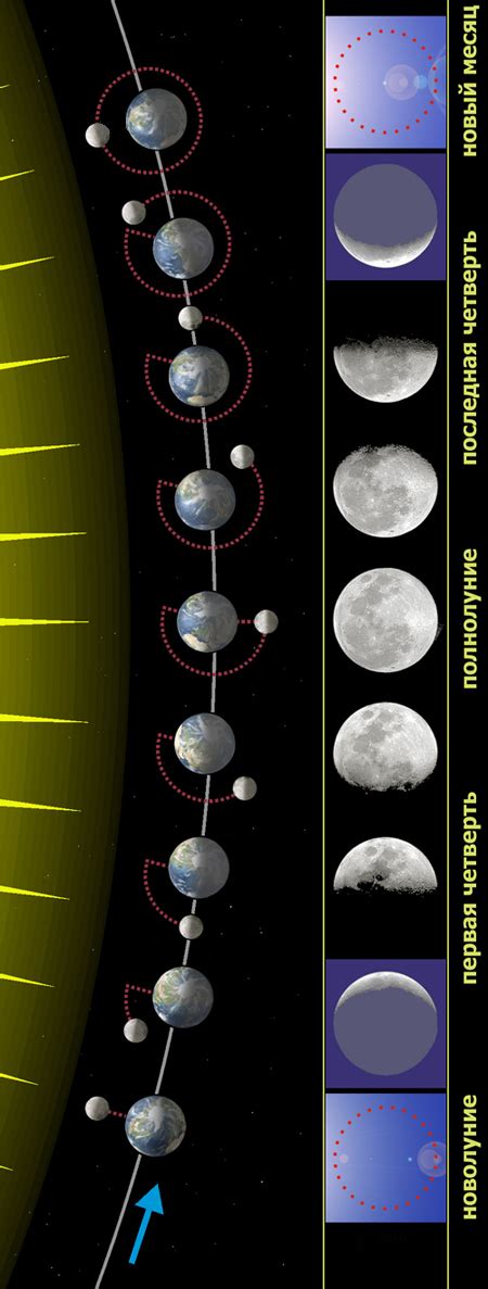 расположение луны относительно земли и солнца