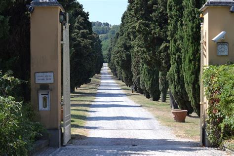 An Empty Road With Trees Lining Both Sides