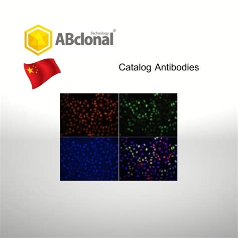 Catalog Antibodies, Abclonal, China - BioEntist Co., Ltd.