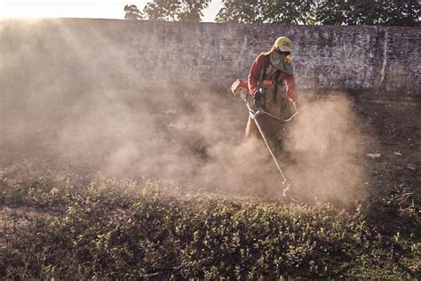 Distrito Rio Pardo Recebe Mutirão De Limpeza Urbana Cronograma De