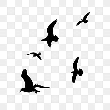 Black Birds Flying Silhouette Transparent Background, Black Flying Bird ...