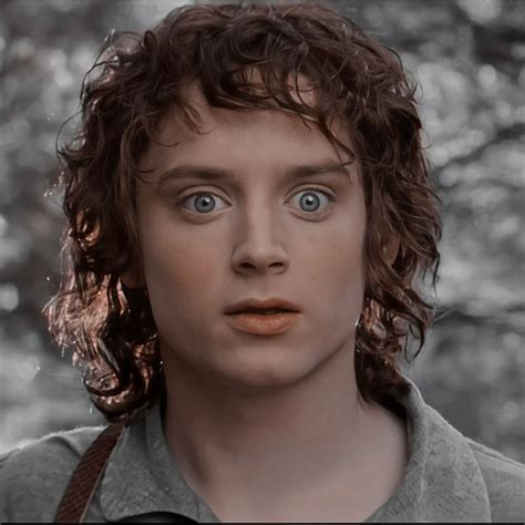 Frodo Baggins • in 2022 | Frodo baggins, Lord of the rings, Frodo