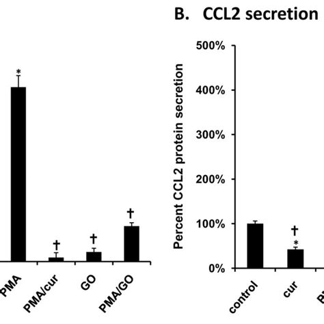 Curcumin Decreases Control And Pma Induced Ccl Mrna Expression And