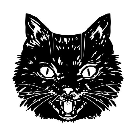 Angry Black Cat Giftimeline Photos - Sotheby’s Institute Digital Archive