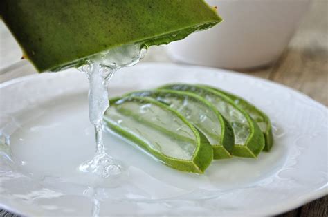 Benefícios da Babosa Aloe Vera e Seus Efeitos Colaterais