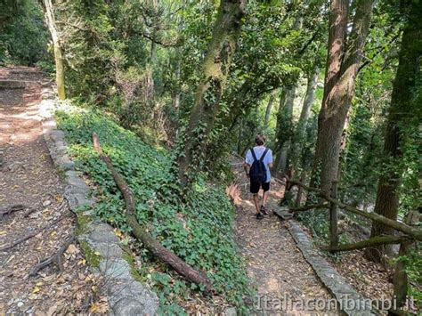 Parco Sigurtà Come Visitarlo Prezzi Parcheggio Mappa Italia Con I