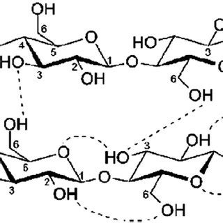 Schematic Representation Of The Intra And Intermolecular Hydrogen