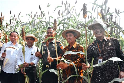 Portal Berita Pemerintah Kota Yogyakarta Gelar Potensi Pertanian