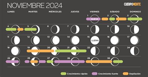 Calendario Lunar De Noviembre Fases Lunares Siembra Y Corte De Pelo