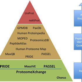 Hierarchy of proteomics data repositories and databases according to ...