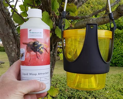 Hangingfreestanding Wasp Trap Wasps And Fly Control Green Gardener